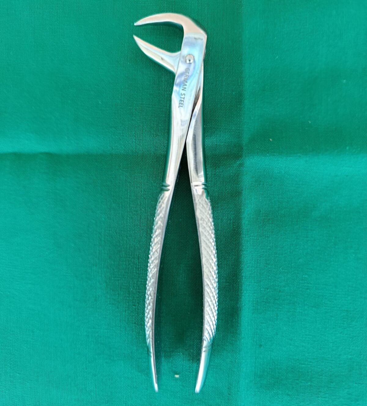 lower Cowhorn forceps
